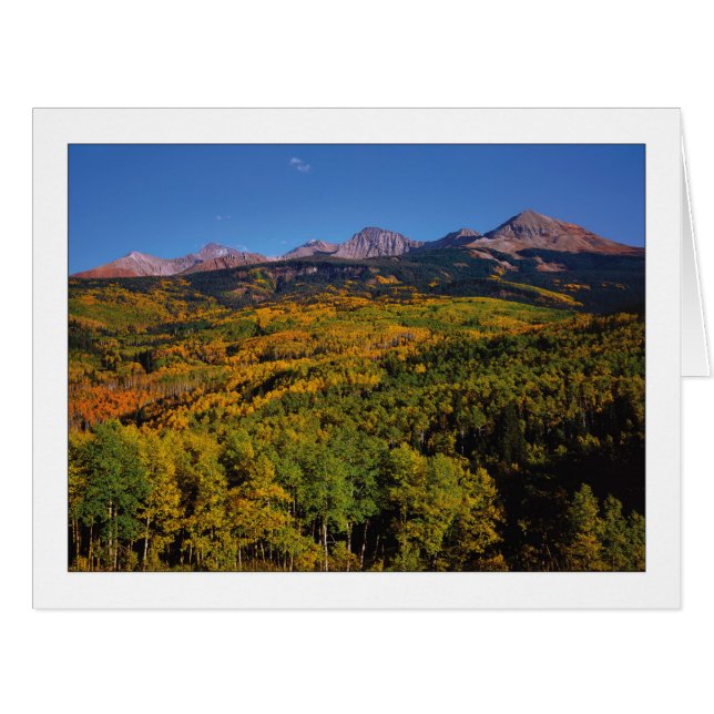 "Mt. Wilson - Aspen Tree Valley " Cards (Front Horizontal)