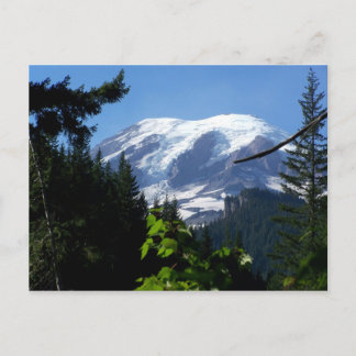 MtRainer6 Postcard