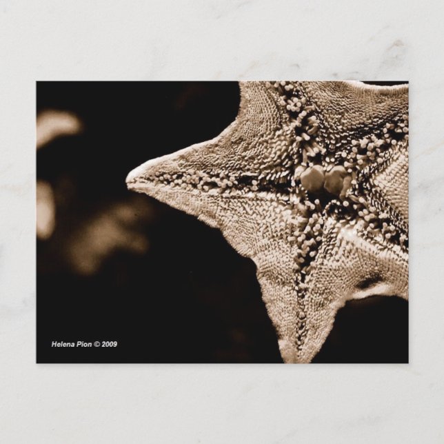 MTV 7 POSTCARD (Front)