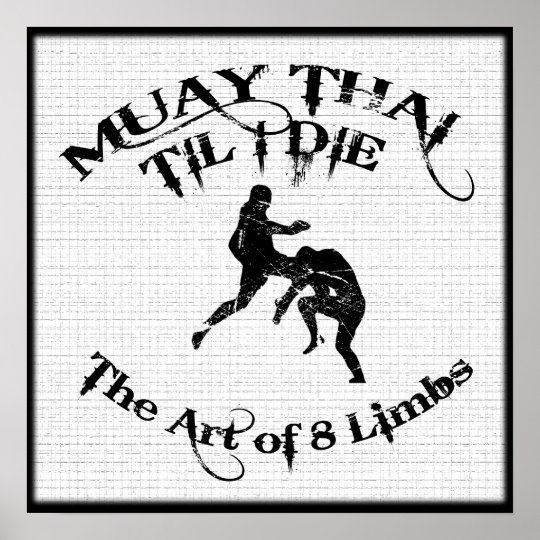 Muay Thai Techniques Poster