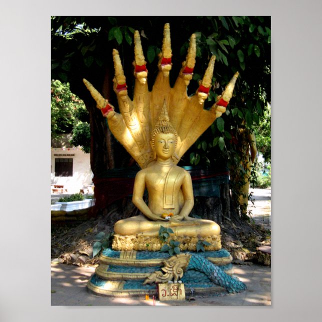 Mucalinda Poster (Front)