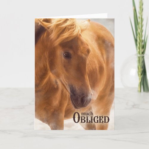 Much Obliged Horse Lover Western Thank You Card
