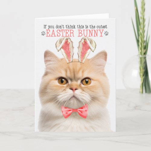 Muchnkin Cat in Bunny Ears for Easter Holiday Card