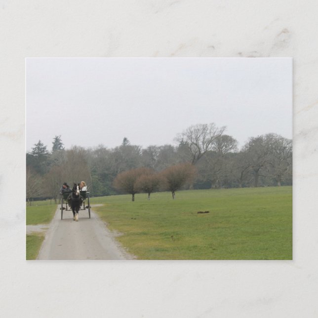 Muckross House, Killarney Ireland Postcard (Front)