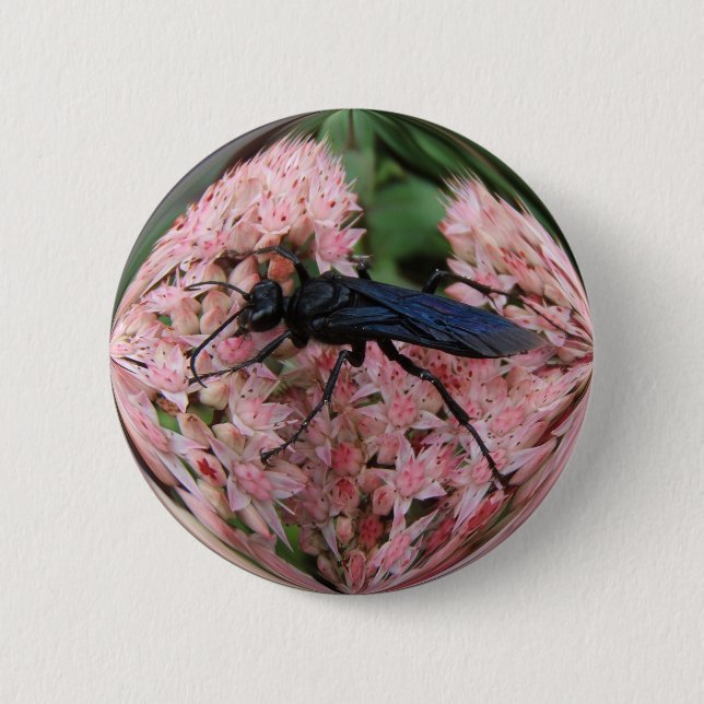 Mud Dauber ~ button (Front)