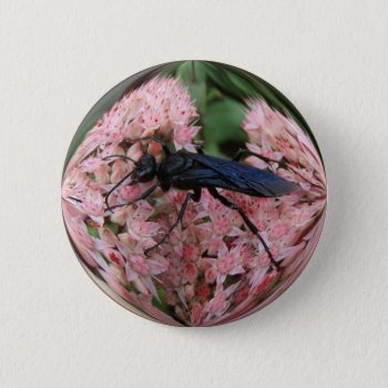 Mud Dauber ~ Button by Andy2302 at Zazzle