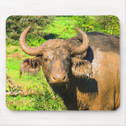 Muddy Buffalo Wildlife Photography Mouse Pad