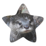Muddy Otter Star Sticker
