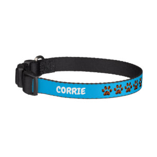 Muddy Paws on a Sky Blue Dog Collar