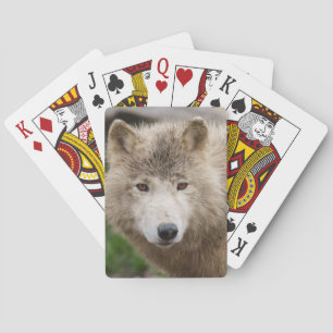 Muddy White Wolf Poker Cards