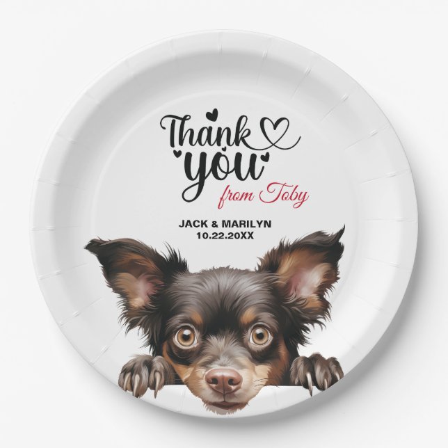 Mudi Dog Paper Plates (Front)