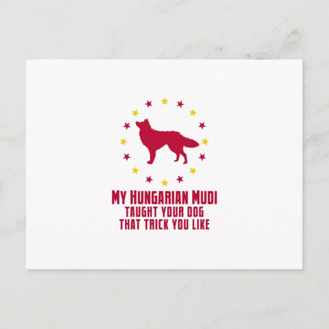 Mudi Postcard (Front)