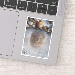 Mufasa Reflection Sticker