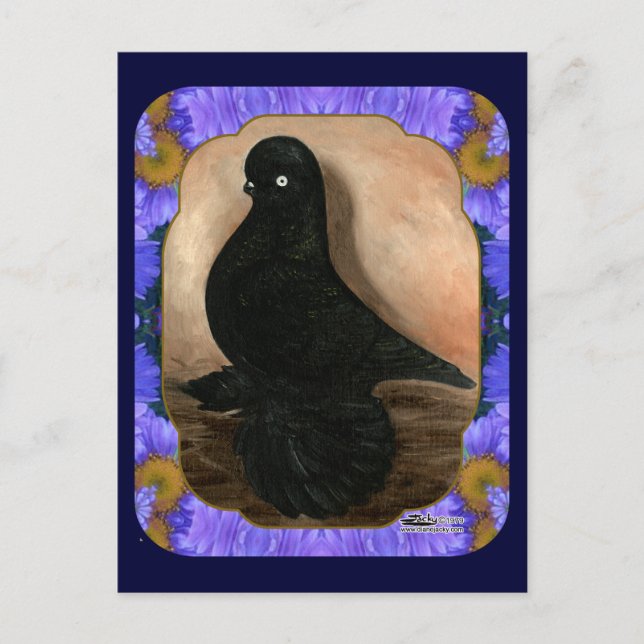 Muffed Tumbler Pigeon Framed Postcard (Front)
