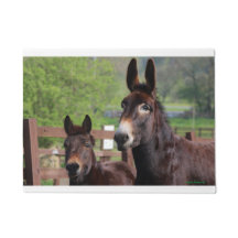 Muffin & Coco Door Mat