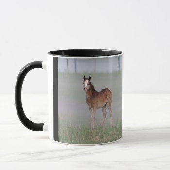 Mug by WelshPoniesandCobs at Zazzle