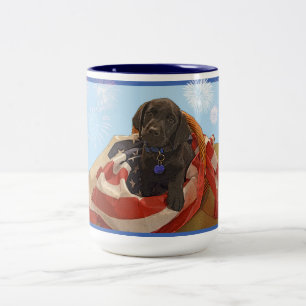 Mug~ American Independence Two-Tone Coffee Mug