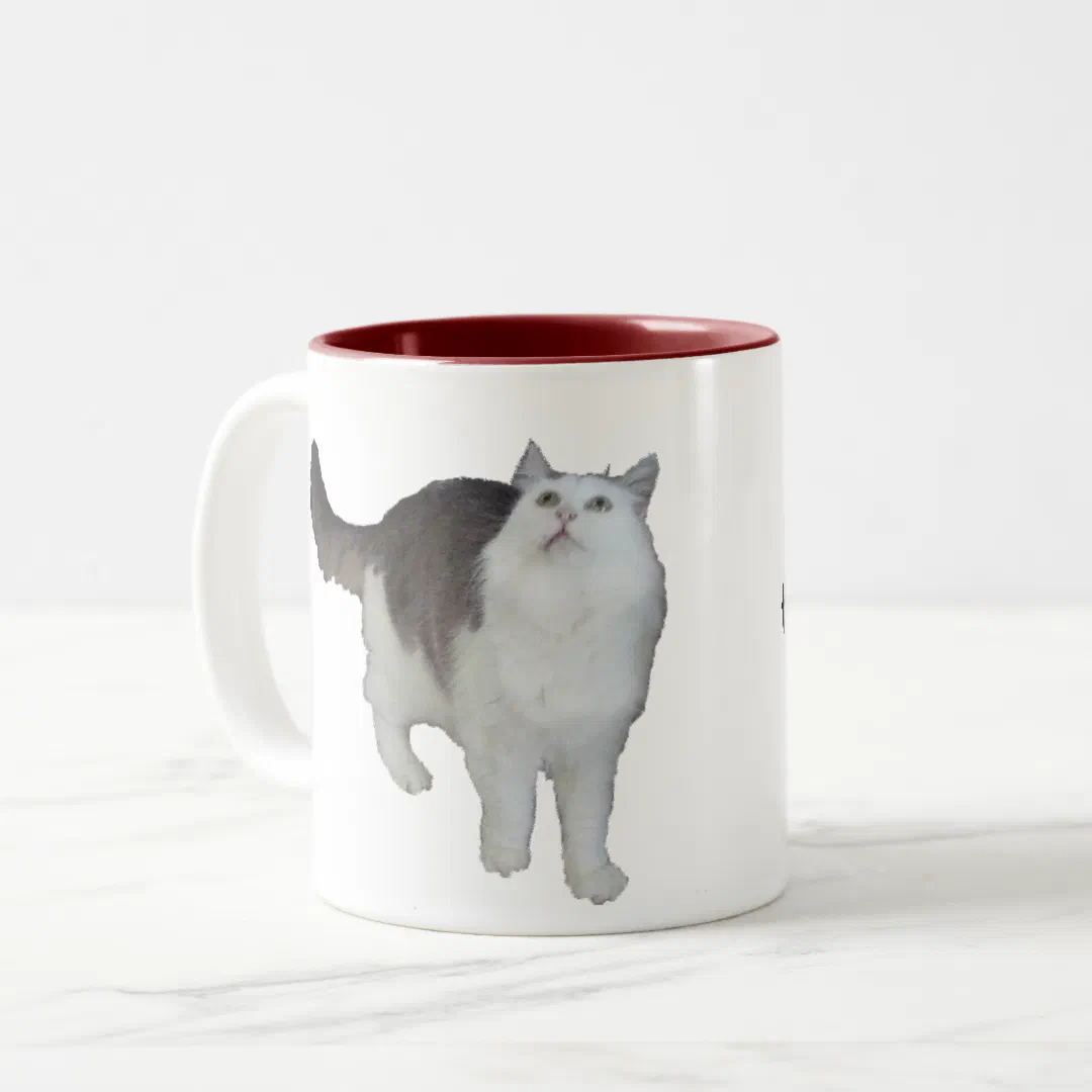 Mug - Concerned Cat (Front Left)