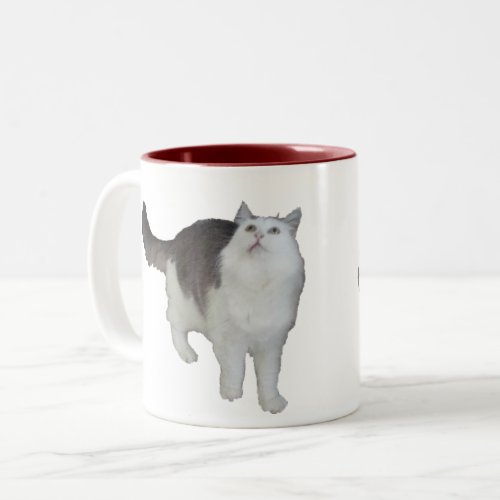 Mug _ Concerned Cat