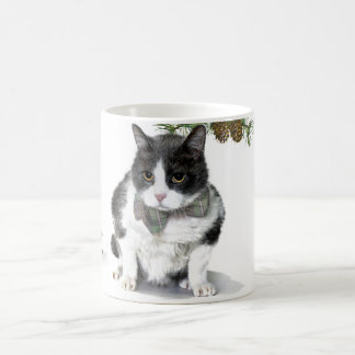 Mug: Felix, the cat, camping in August Coffee Mug