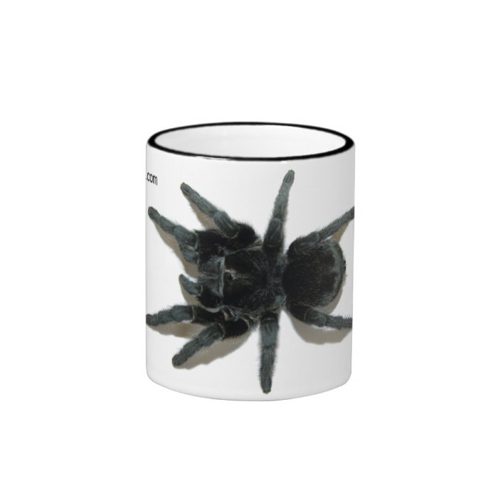 Mug   Grammostola pulchra (Brazilian Black)