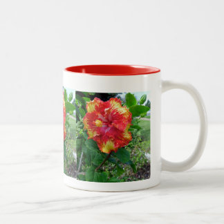 Mug-Hawaiian Prize Hibiscus Two-Tone Coffee Mug