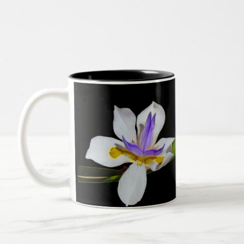 Mug _ Iris Flowers