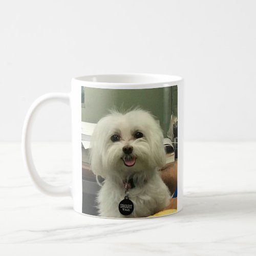 Mug maltese gift love cherish loyality