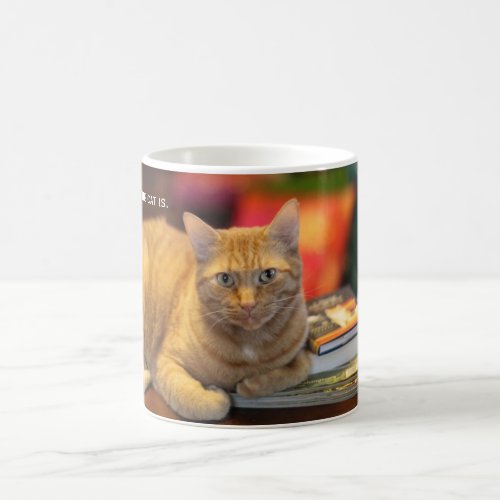 Mug Orange Cat