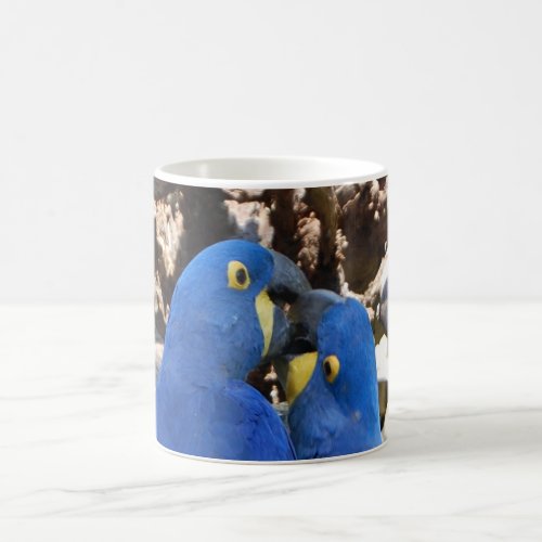 mug _ parrots