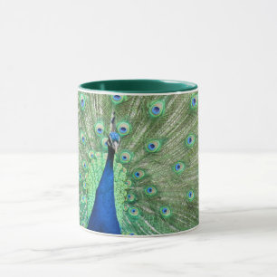 Mug - Peacock Tail Display