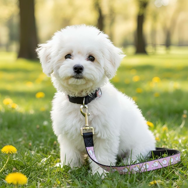 Mug Pet Leash (Creator Uploaded)