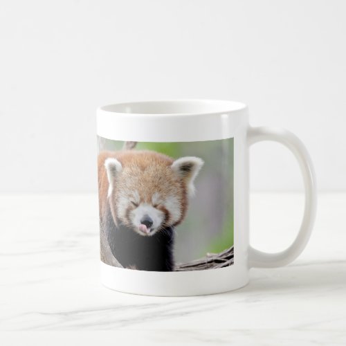 Mug Photo red panda  animals 0399
