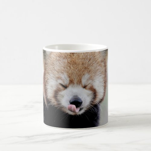 Mug Photo red panda  animals  coffee mug
