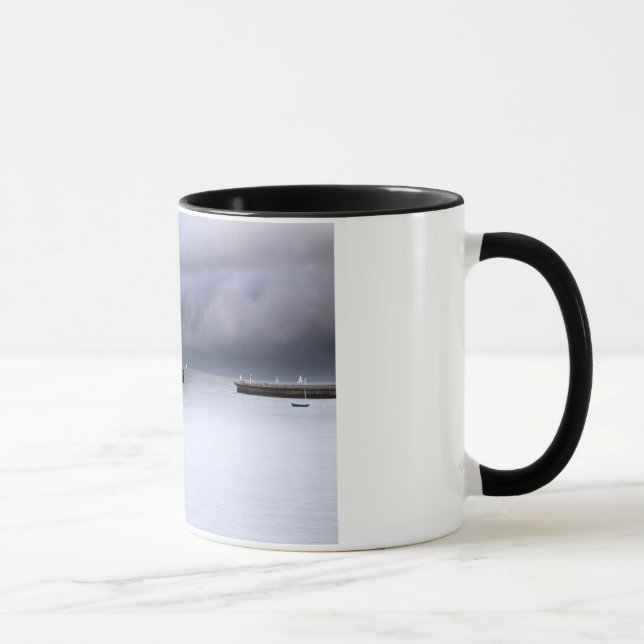 Mug San Francisco Bay (Right)