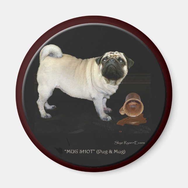 "MUG SHOT" Art Magnets (Front)