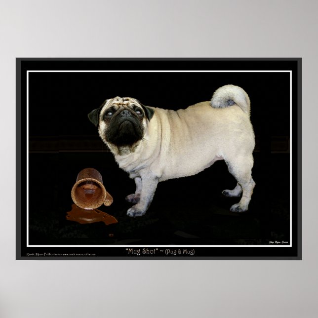 "MUG SHOT" Pug Poster (Front)