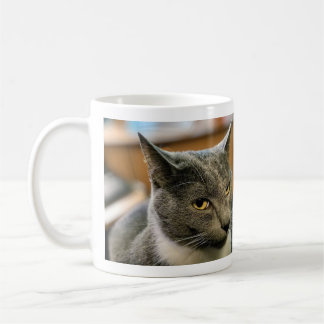 Mug - Waz Up Girl?