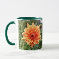 Mug with 2 photos of orange dahlias