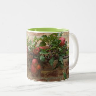 MUG WITH APPLES GROWING ON BRICK WALL ESPALIER