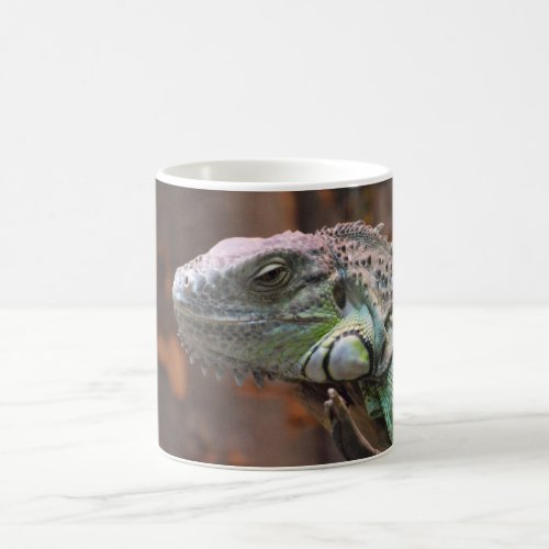 Mug with colourful Iguana lizard