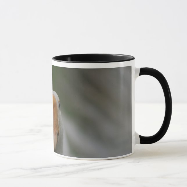 Mug with geese... (Right)