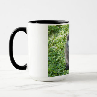 mug with original photo of a Pomeranian