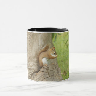 mug with original photo of cute squirrel