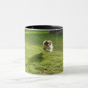 Mug with original photo of leaping Sheltie