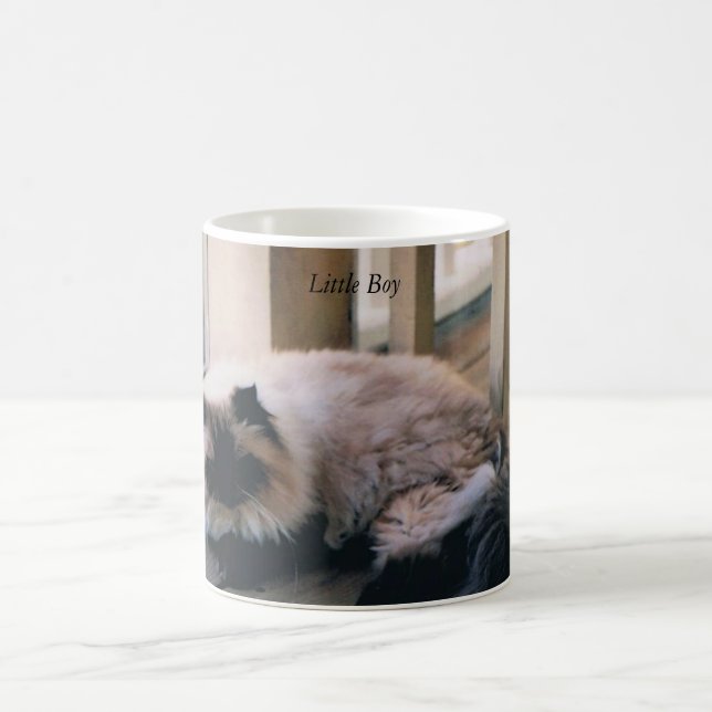 Mug with Photo of a Himalayan Cat (Center)