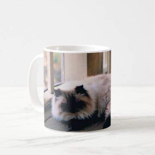 Mug with Photo of a Himalayan Cat