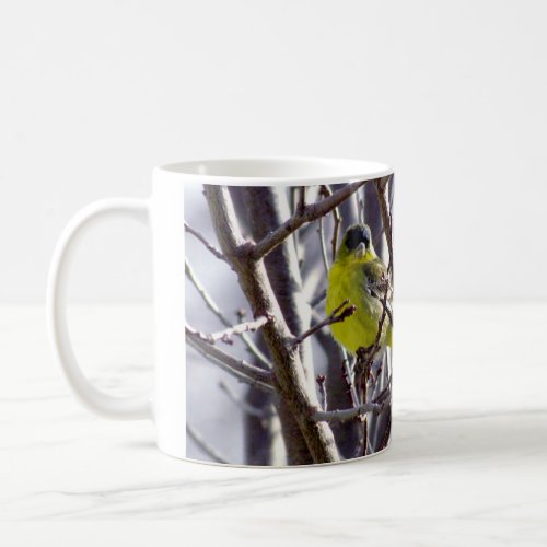 Mug _ Yellow Bird in Bare Branches