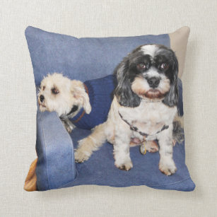 lhasa apso pillow