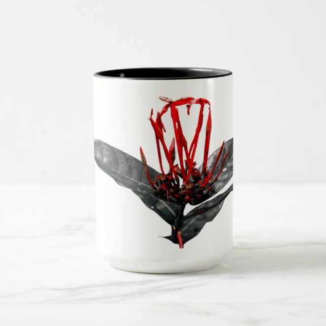Mugs (Center)